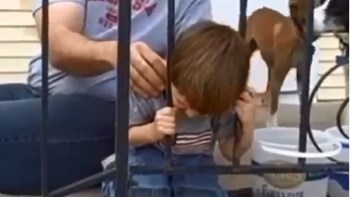 Πιτσιρικάς έπαιζε και σφήνωσε το κεφάλι του στα κάγκελα – Δεν φαντάζεστε πώς απελευθερώθηκε – ΒΙΝΤΕΟ