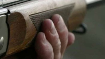 Πυροβόλησε τον αδελφό του πάνω στον καβγά