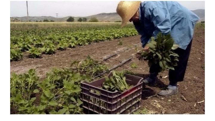 Μέχρι πότε μπορείτε να κάνετε αιτήσεις για τις αγροτικές επιδοτήσεις των 14.000 ευρώ – Ποιους αφορά