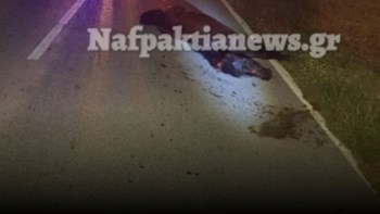 Αυτοκίνητο συγκρούστηκε με άλογο στη Ναυπακτία – Προσοχή σκληρές εικόνες – ΦΩΤΟ – ΒΙΝΤΕΟ