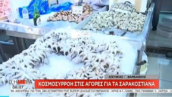 Το αδιαχώρητο στη Βαρβάκειο για τα σαρακοστιανά εδέσματα – ΒΙΝΤΕΟ