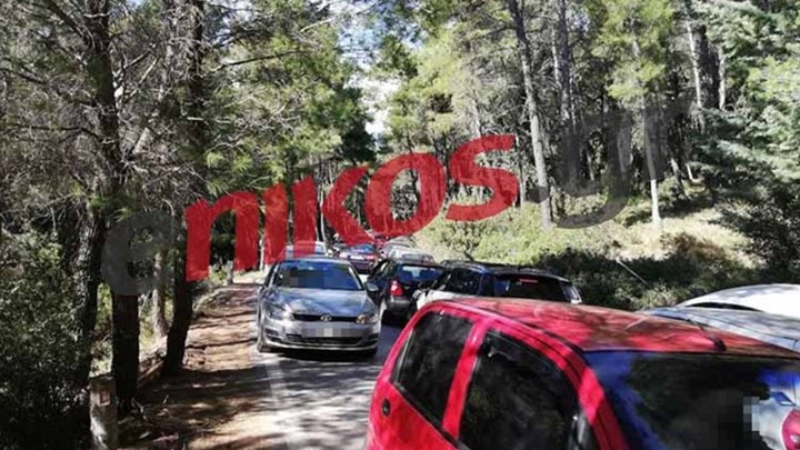 Τα «Κούλουμα» της ταλαιπωρίας στο άλσος Τατοΐου – ΦΩΤΟ αναγνώστη