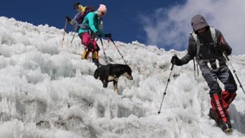 Αυτός είναι ο πρώτος σκύλος που ανέβηκε στα Ιμαλάια – ΦΩΤΟ