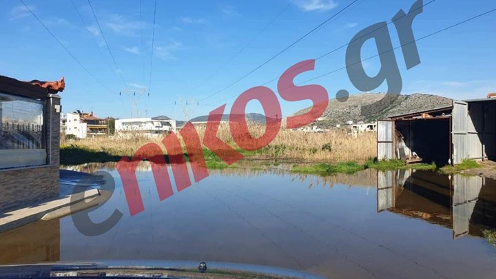 Κραυγή αγωνίας από κατοίκους στις πλημμυρισμένες περιοχές της Χαλκίδας: Υπάρχει κίνδυνος για τη δημόσια υγεία – ΦΩΤΟ αναγνώστη