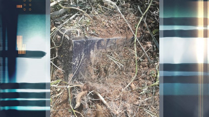 Βρισκόταν για 15 μήνες στα αζήτητα του Γ’ νεκροταφείου – Την έθαψαν όρθια σε πλαστικό φέρετρο – ΦΩΤΟ