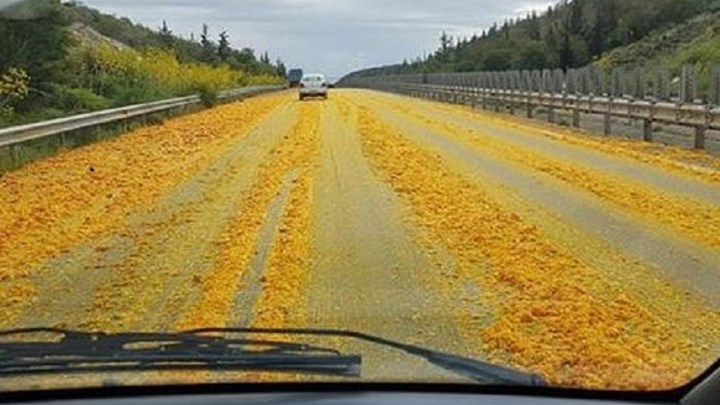 Ο δρόμος “πλημμύρισε” από… πορτοκάλια – ΦΩΤΟ