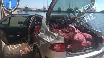 Πάνω από ένας τόνος ακατάλληλα όστρακα θα κατέληγαν στο πιάτο μας