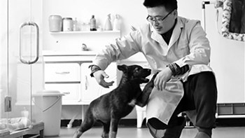 Κινέζοι επιστήμονες κλωνοποίησαν τον πρώτο αστυνομικό σκύλο στην ιστορία