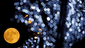 Στην έναρξη της Άνοιξης αφιερωμένο το doodle της Google – Εαρινή ισημερία με υπερπανσέληνο απόψε