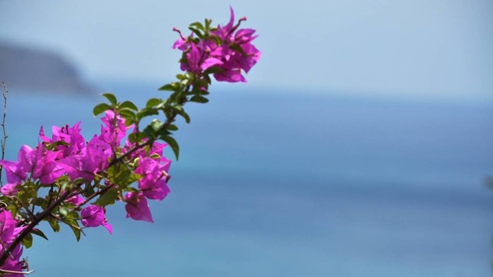 Πέφτει σήμερα η θερμοκρασία – Η πρόγνωση του καιρού