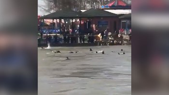 Τουλάχιστον 70 νεκροί σε ναυάγιο στον ποταμό Τίγρη – ΦΩΤΟ – ΒΙΝΤΕΟ