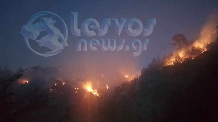 Μάχη με τις φλόγες δίνει η Πυροσβεστική στο Νεοχώρι Πλωμαρίου – ΒΙΝΤΕΟ