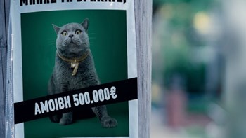 Kυνήγι σε όλη την Ελλάδα για μία γάτα με αμοιβή 500.000 ευρώ