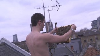 Φροντίζει τα μελίσσια του… γυμνός – ΒΙΝΤΕΟ