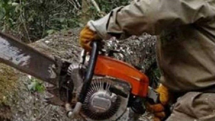 Σοκ στα Φάρσαλα: Έκοψε το πόδι του με αλυσοπρίονο