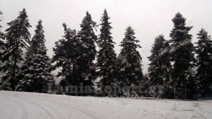 Πυκνή χιονόπτωση στα ορεινά της Ευρυτανίας – ΒΙΝΤΕΟ