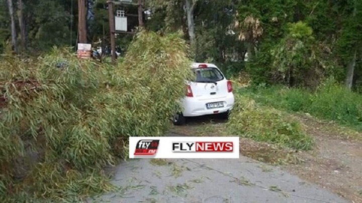 Δέντρο καταπλάκωσε αυτοκίνητο στη Σπάρτη – ΦΩΤΟ