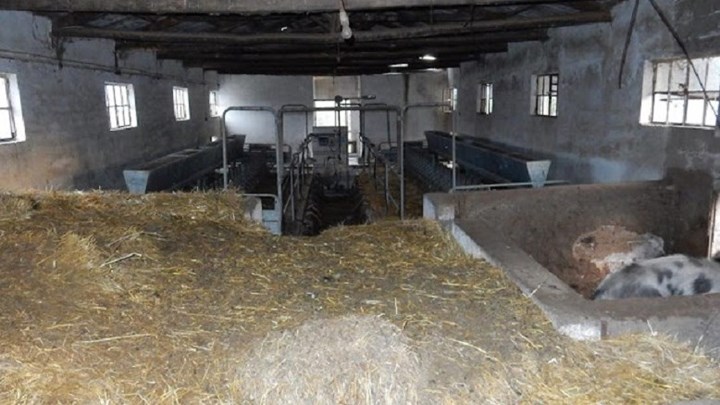 Κολαστήριο ζώων κτηνοτροφική μονάδα στη Λέσβο – Προσοχή ΣΚΛΗΡΕΣ ΕΙΚΟΝΕΣ
