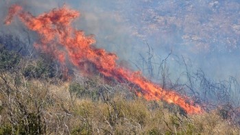 “Κραυγή αγωνίας” από τον Περιφερειάρχη Δυτικής Ελλάδας για τη φωτιά στη Στροφυλιά: Έχω ζητήσει να επιχειρήσουν εναέρια μέσα