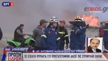 Περιφερειάρχης Δυτικής Ελλάδας: Υπό έλεγχο η πυρκαγιά στη Στροφυλιά – ΒΙΝΤΕΟ