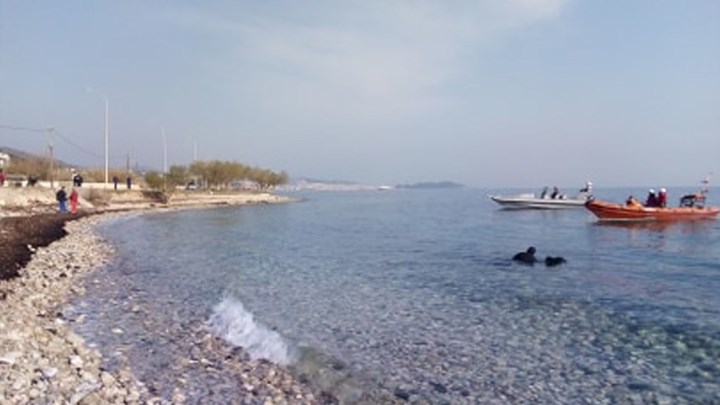 Αυτοκίνητο έκανε “βουτιά” στη θάλασσα – Στο νοσοκομείο ο οδηγός