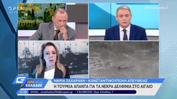 Τι απάντησε η Τουρκία για τα νεκρά δελφίνια στο Αιγαίο – ΒΙΝΤΕΟ