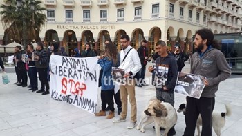 Διαμαρτυρία ενάντια στην εκμετάλλευση των ζώων στο κέντρο της Θεσσαλονίκης – ΦΩΤΟ
