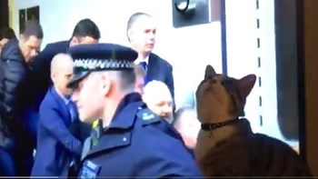 Wikileaks: O γάτος του Ασάνζ είναι ασφαλής – ΒΙΝΤΕΟ