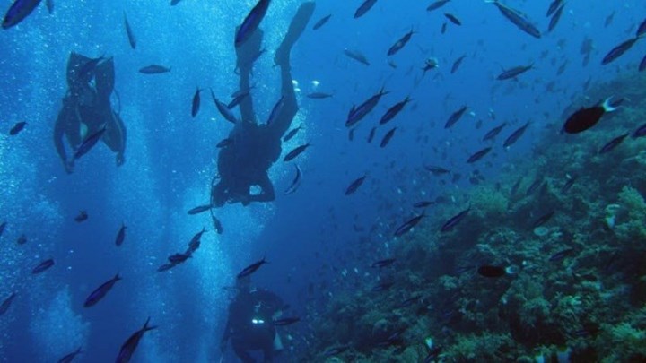 Ανακαλύφθηκαν μικρόβια που “τρώνε” πετρέλαιο