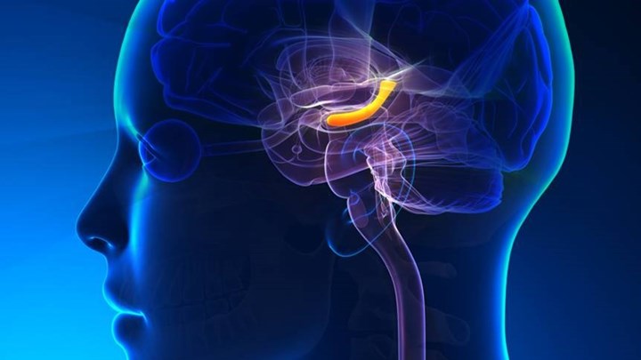 Αμερικανοί επιστήμονες “ξανάνιωσαν” τη μνήμη ηλικιωμένων μέσω διέγερσης του εγκεφάλου