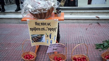Με αυγά και αρνιά έξω από το υπουργείο Υγείας οι καθαρίστριες του «Δρομοκαΐτειου» – ΦΩΤΟ