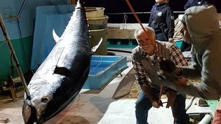 Ψάρεψαν τόνο «γίγαντα» στο Αιγαίο – ΦΩΤΟ