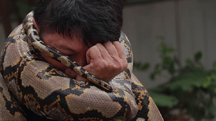 Δείτε πώς θα επιβιώσετε αν δεχθείτε επίθεση από πύθωνα – ΦΩΤΟ – ΒΙΝΤΕΟ