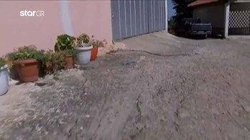 Συγκλονίζει η μητέρα της 8χρονης που χτυπήθηκε από “αδέσποτη” σφαίρα: Περιμένουμε το θαύμα – ΒΙΝΤΕΟ