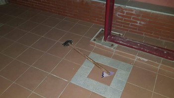 Επίθεση σε σύλλογο συγγενικού προσώπου του Αλέξανδρου Νικολαΐδη – Τι κατήγγειλε ο υποψήφιος ευρωβουλευτής του ΣΥΡΙΖΑ – ΦΩΤΟ