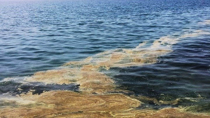 Έγινε κίτρινη η θάλασσα στη Λεμεσό – Ποια η πιθανή εξήγηση