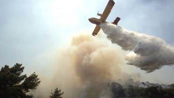 Υπό έλεγχο η φωτιά στη Σιθωνία