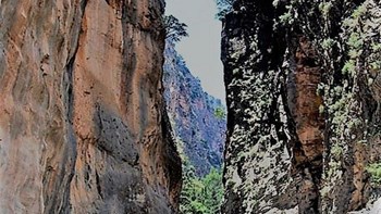 Καθημερινή «σκούπα» μπαίνει στο φαράγγι της Σαμαριάς