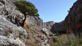 Συναγερμός στην Κρήτη για τραυματισμένη τουρίστρια σε φαράγγι