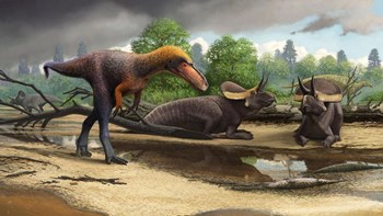 Ανακαλύφθηκε πρόγονος – μινιατούρα του Τυραννόσαυρου Ρεξ
