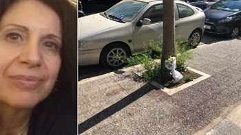 Συνταρακτικές αποκαλύψεις για τον αδελφοκτόνο στο Παλαιό Φάληρο – Σκότωσε την 53χρονη και πήγε σε ψαροταβέρνα