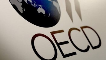 Αποκαλυπτική έκθεση του ΟΟΣΑ: Η Ελλάδα υστερεί σε ψηφιακές δεξιότητες – Οι επιπτώσεις