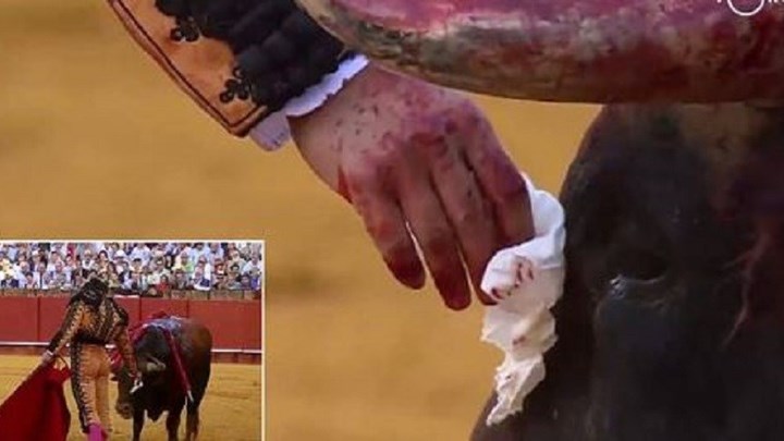 Σάλος στην Ισπανία: Ταυρομάχος σκοτώνει ταύρο αφού σκουπίζει τα αίματα από τα μάτια του – ΒΙΝΤΕΟ