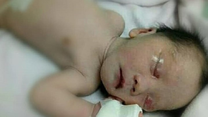 Σκύλος έσωσε βρέφος από βέβαιο θάνατο – Αδίστακτη μητέρα το είχε θάψει ζωντανό -ΦΩΤΟ – ΒΙΝΤΕΟ