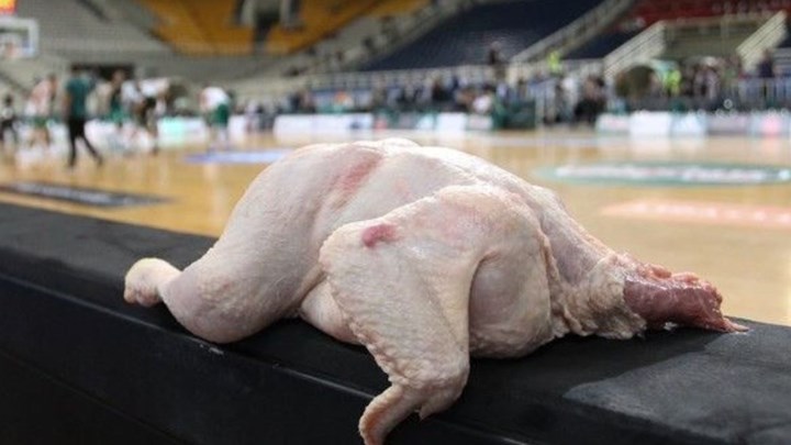 Έβαλαν κοτόπουλα στον πάγκο του Ολυμπιακού στο ΟΑΚΑ – ΦΩΤΟ