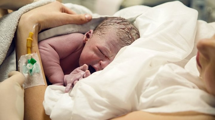 Πολωνέζα γέννησε φυσιολογικά… εξάδυμα