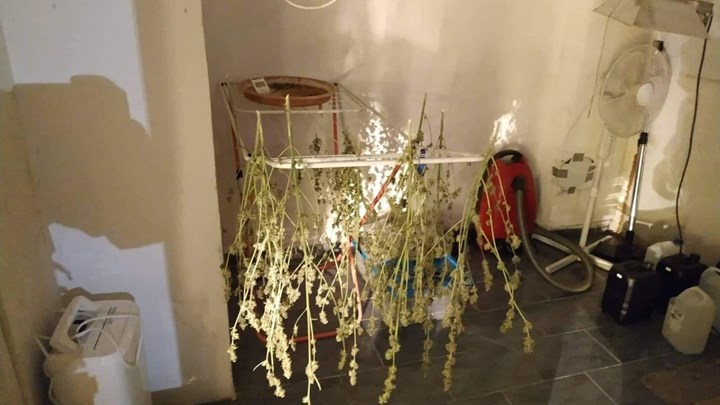 Χειροπέδες σε 38χρονο για καλλιέργεια κάνναβης σε διαμέρισμα στην Τούμπα – ΦΩΤΟ
