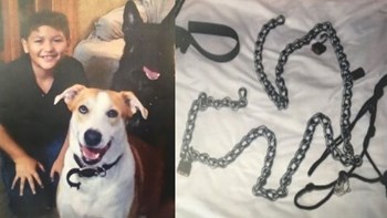 Σοκ στις ΗΠΑ με τον θάνατο 12χρονου: Γονείς “τέρατα” τον κρατούσαν δεμένο σε μπανιέρα με αλυσίδες και κολάρο σκύλου