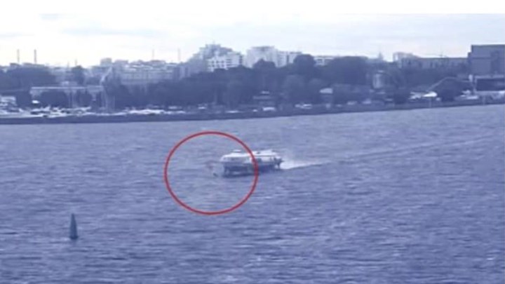 Τραγικός θάνατος σέρφερ που παρασύρθηκε από “ιπτάμενο δελφίνι” – ΒΙΝΤΕΟ