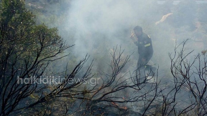 Φωτιά σε δάσος στη Βουρβουρού Χαλκιδικής